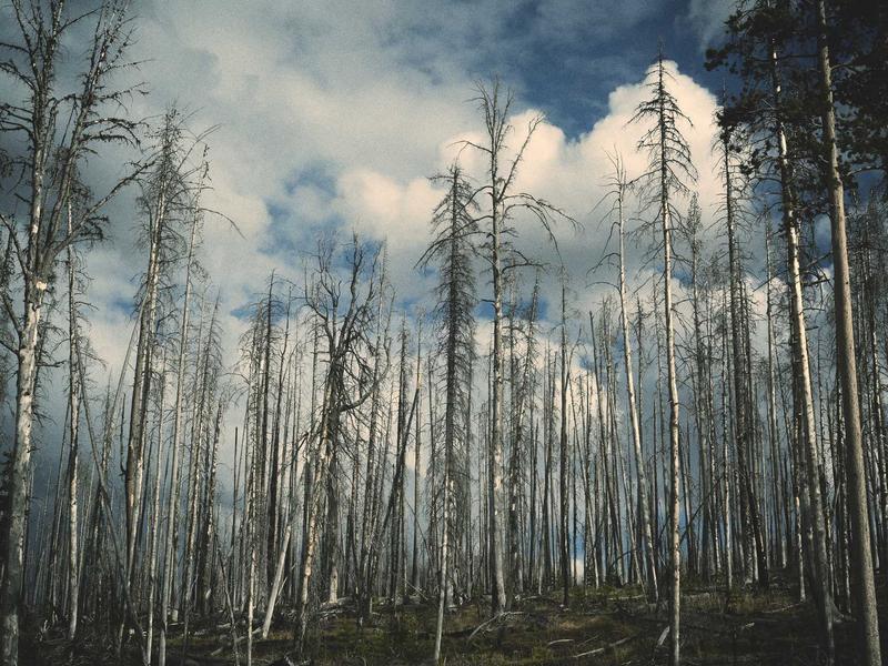 暗物质晕<br>kclfxfu.cn 宇宙骨架结构